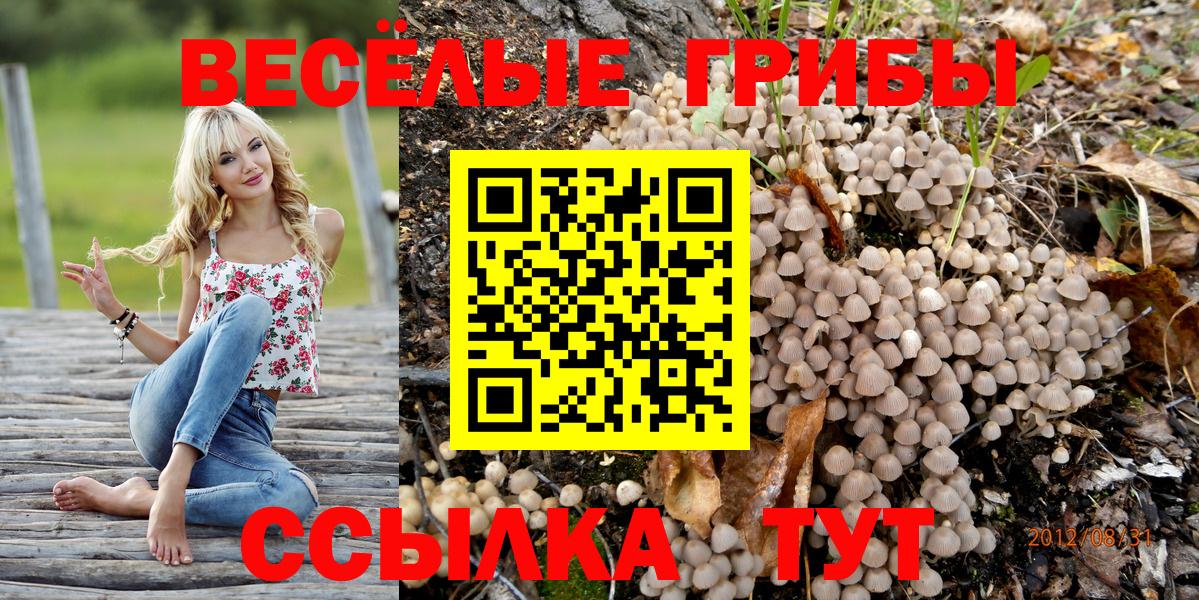 Псилоцибиновые грибы прущие грибы Среднеуральск