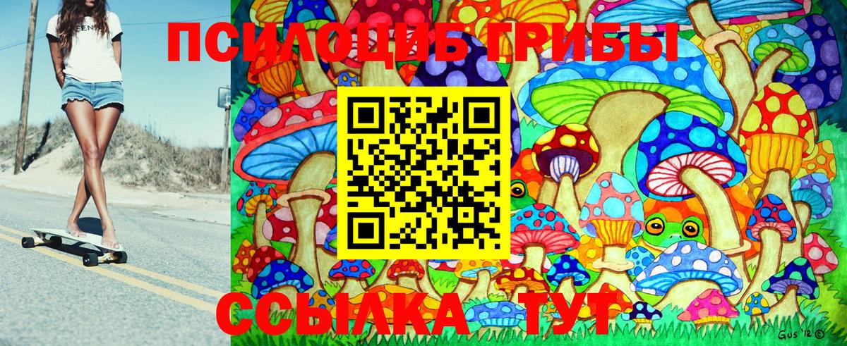 Галлюциногенные грибы Psilocybe  Вход с VPN  Среднеуральск 